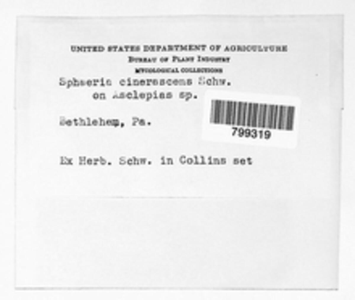 Venturia inaequalis image